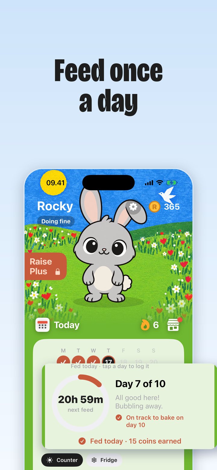 The feed card with the countdown ring and the week strip