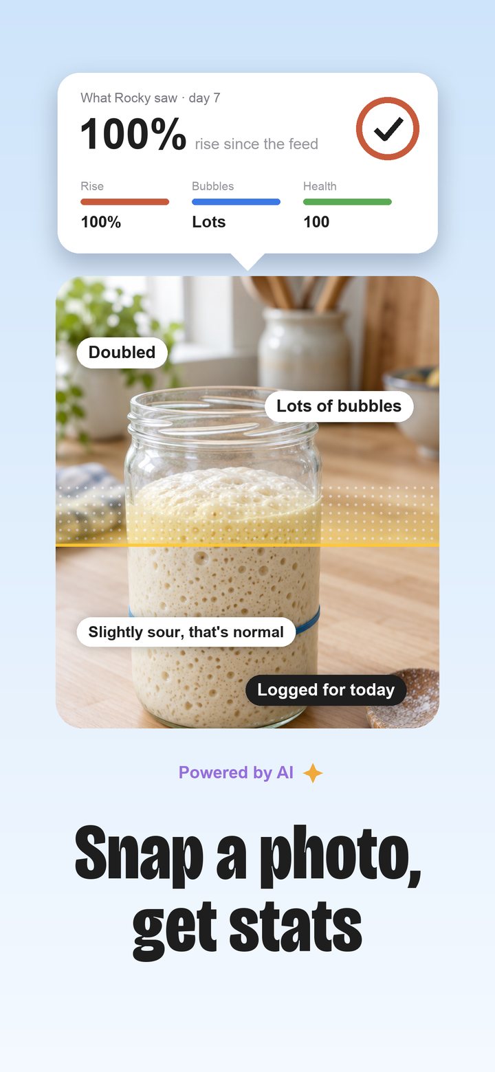 A photo of the jar turned into rise and bubble readings